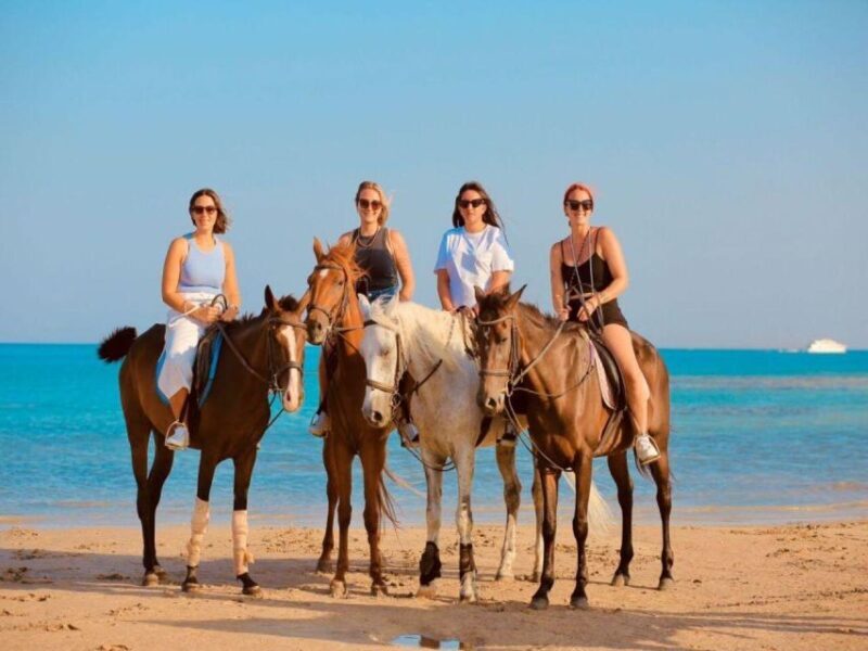 Hurghada: Desert and Sea Horseback Riding Tour with Transfer - Who Will Love This Tour?