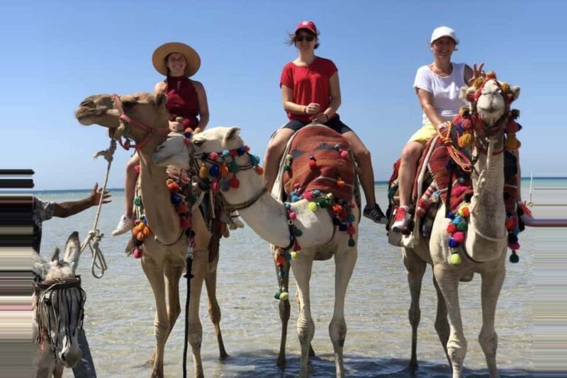 Hurghada: Desert & Beach Camel Ride with Transfers - A Closer Look at the Tour Itinerary