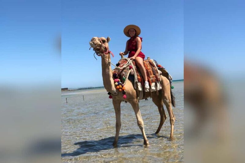 Hurghada: Desert & Beach Camel Ride with Transfers - What You Can Expect from the Experience