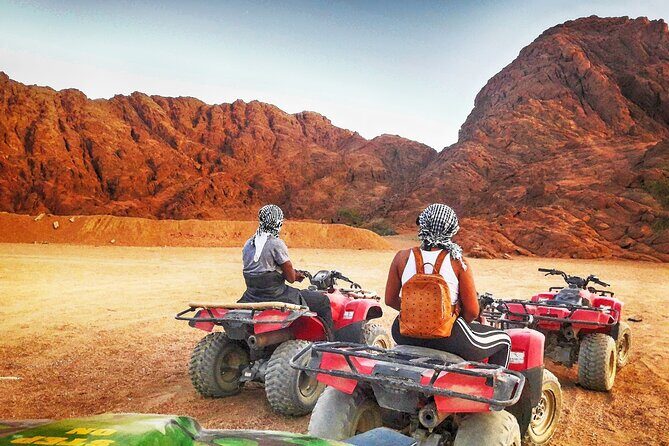 Hurghada Desert Escape Family Safari & Dinner Under the Stars - What Reviewers Loved and Noticed