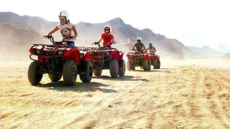 Hurghada Desert Safari: Quad Biking & Bedouin Village Visit. - Visiting a Bedouin Village: Authentic Cultural Encounter