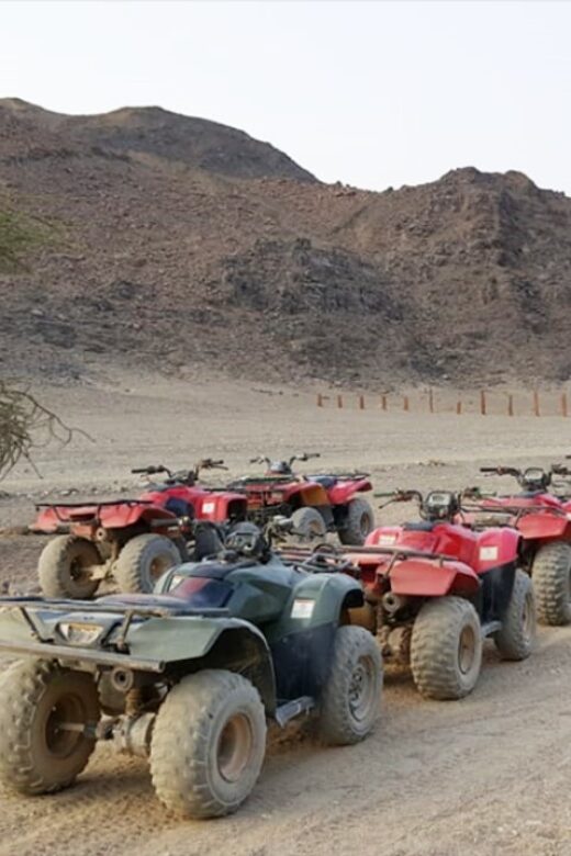 Hurghada Desert Safari: Quad Biking & Bedouin Village Visit. - Practical Details: What to Expect
