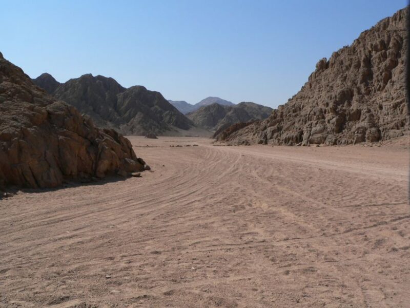 Hurghada Desert Safari: Quad Biking & Bedouin Village Visit. - Who Should Consider This Tour?