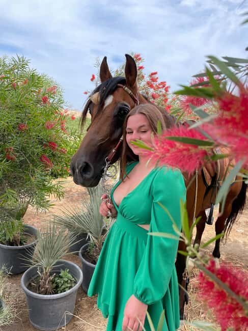 Hurghada: Desert & Sea Horse Riding with + 360° Photos - A Closer Look at the Experience
