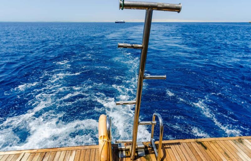 Hurghada: Dolphin & Coral Reef Snorkeling Tour with Lunch - Key Points  