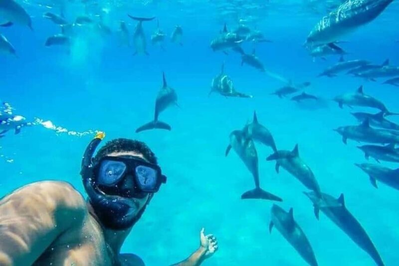 Hurghada: Dolphin & Coral Reef Snorkeling Tour with Lunch - FAQ