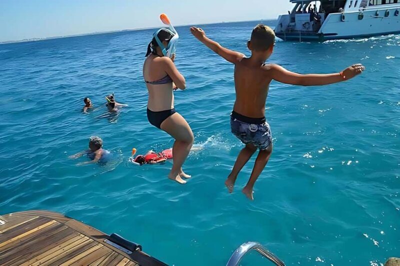 Hurghada: Dolphin Cruise with Snorkeling & Buffet Lunch - Key Points