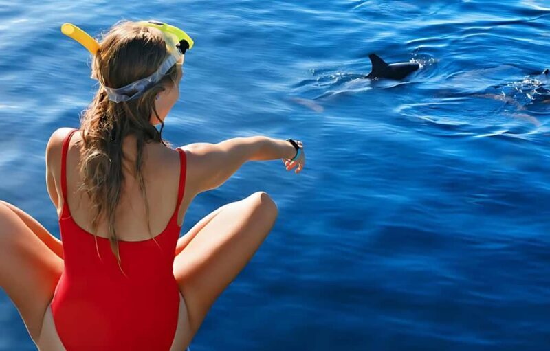 Hurghada: Dolphin Cruise with Snorkeling & Buffet Lunch - Who Should Consider This Tour?