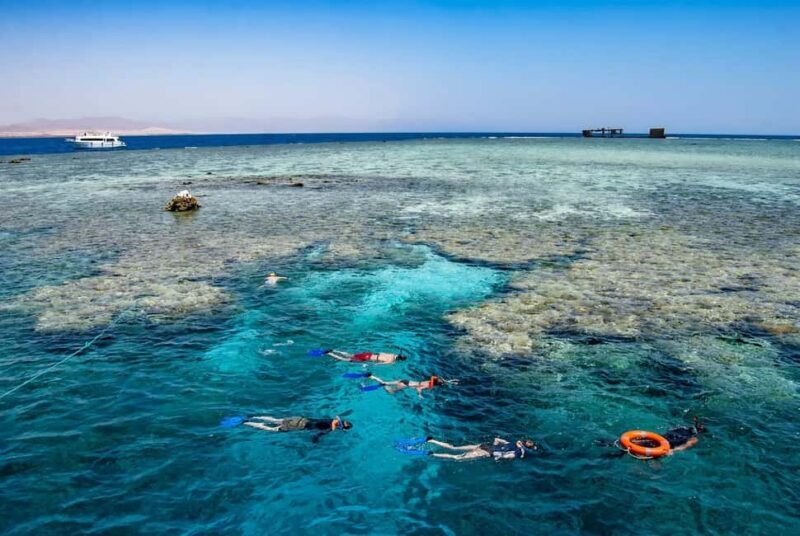 Hurghada: Dolphin Watching Boat Tour with Snorkeling & Lunch - Frequently Asked Questions