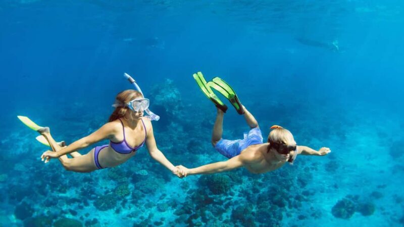 Hurghada: Dolphin Watching Boat Tour with Snorkeling & Lunch - Final Words