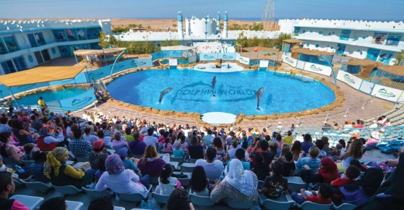 Hurghada: Dolphin World Show with Walruses and Pickup - Final Thoughts