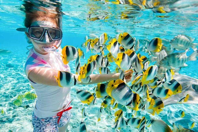 Hurghada Dream Island - Authentic Experiences & Guest Insights