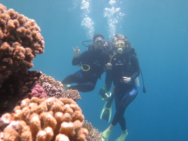 Hurghada: Full-Day Scuba Diving Tour with 2 Sites and Lunch - Why This Tour Is Worth Considering