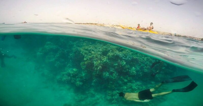 Hurghada: Full-Day Snorkeling Tour in Sharm El Naga w/Lunch - Areas for Consideration