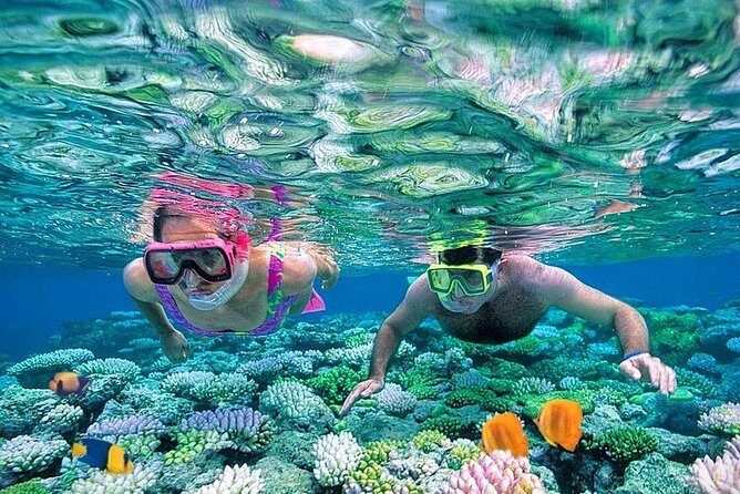 Hurghada: Giftun Island Snorkeling Trip with Lunch. - Who Is This Trip Best For?