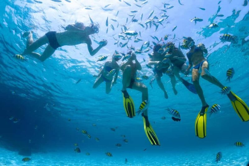 Hurghada: Giftun Island with breakfast, lunch & Water Sports - Key Points