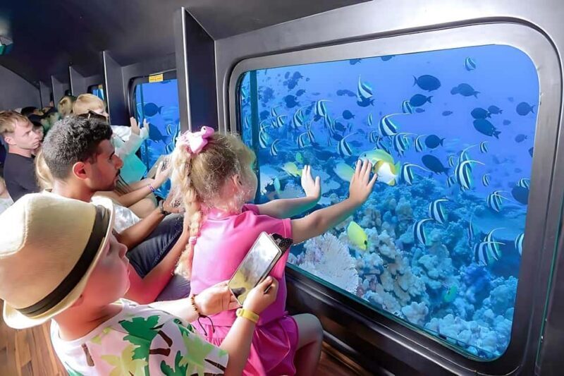 Hurghada: Glass Boat & Snorkeling with Optional Parasailing - The Value of This Experience  
