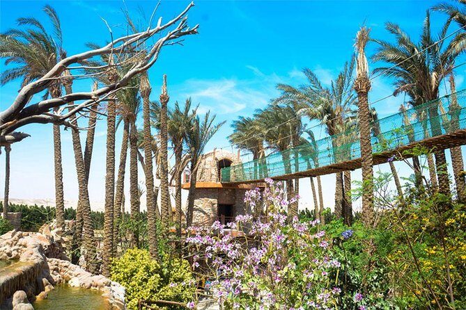 Hurghada Grand Aquarium Tour with Hotel Transfer  Hurghada - Key Points