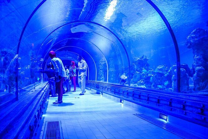 Hurghada Grand Aquarium Tour with Hotel Transfer  Hurghada - Who Should Consider This Tour?