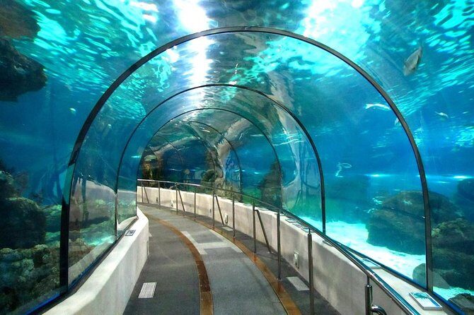 Hurghada Grand Aquarium Tour with Hotel Transfer  Hurghada - The Sum Up: Is This Tour Worth It?