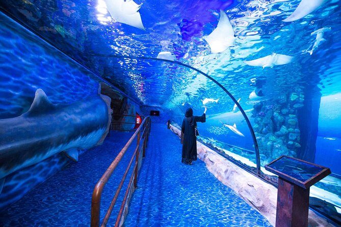 Hurghada Grand Aquarium Tour with Hotel Transfer  Hurghada - FAQs