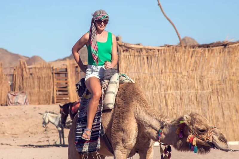 Hurghada: Jeep and ATV Quad with Dinner & Desert Fire Show - Final Thoughts: Is This Tour for You?
