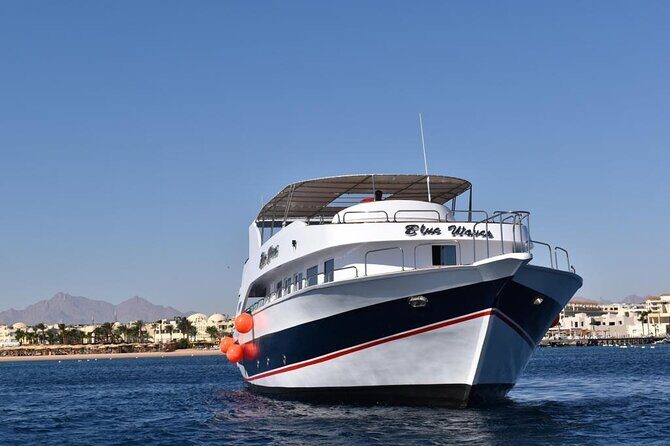 Hurghada: Luxury Cruise to Orange Bay & Hula Hula Island. - Who Is This Tour Best For?