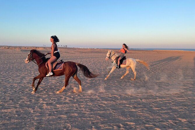 Hurghada: Makadi Water World with Lunch & Transfers - Key Points