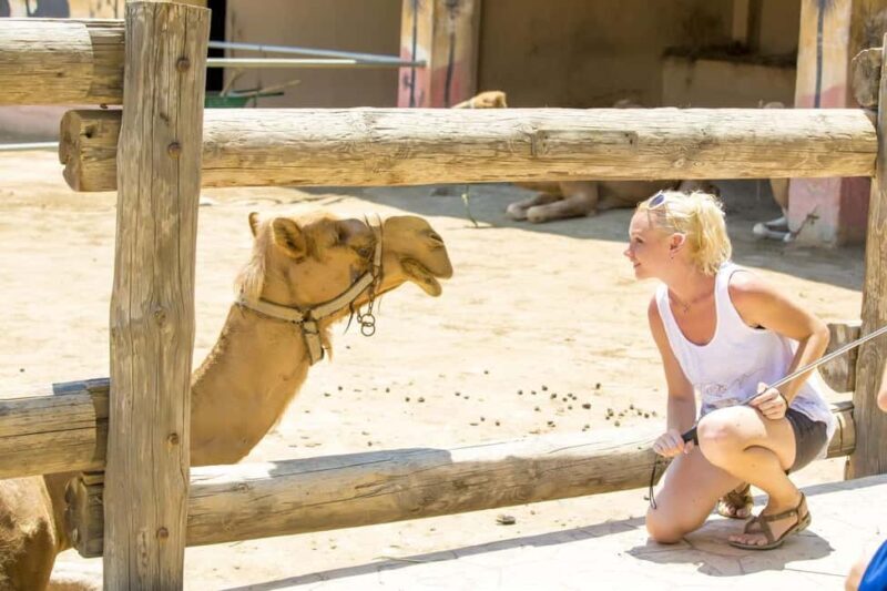 Hurghada: Mega Jeep safari, ATV & Bedouin vibe, and Dinner - Final Thoughts: Who Will Love This Tour?