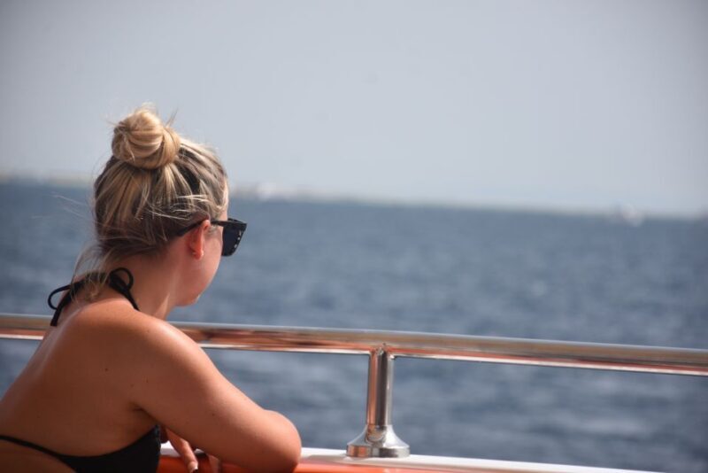 Hurghada or Makadi: Discover the Magic of Dolphin House - Key Points