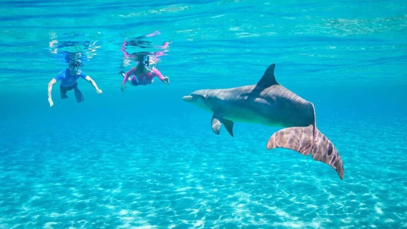 Hurghada or Makadi: Discover the Magic of Dolphin House - Authentic Encounters & Genuine Value