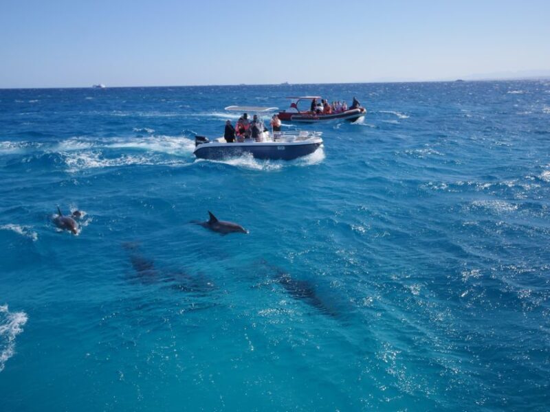 Hurghada: Orange Bay and White Island Private Speedboat Tour - The Verdict: Is It Worth It?