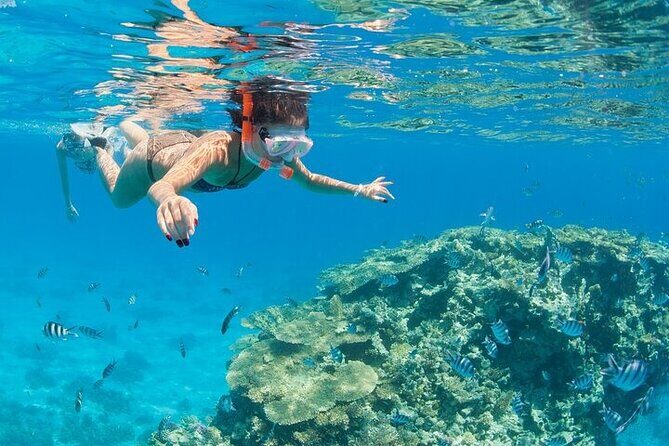 Hurghada Orange Bay boat Trip - FAQ