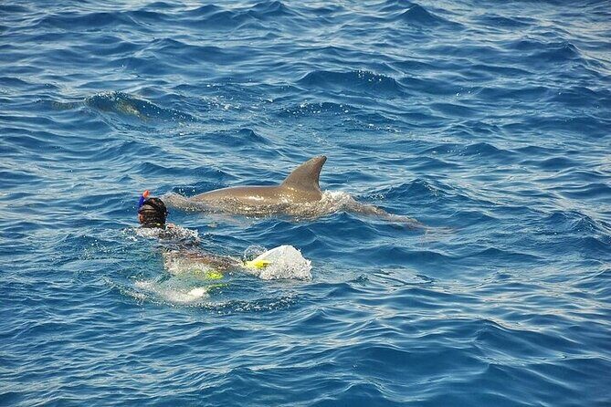 Hurghada: Orange island Snorkeling Trip with Lunch - Frequently Asked Questions