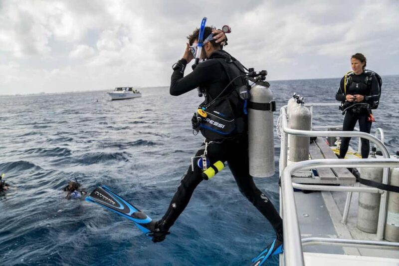Hurghada: PADI Diving Courses packages - Who Is This Experience Best For?