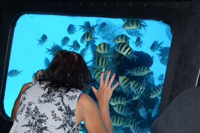 Hurghada Panorama Submarine Boat Trip with Snorkel and Drinks - What the Tour Involves: A Closer Look