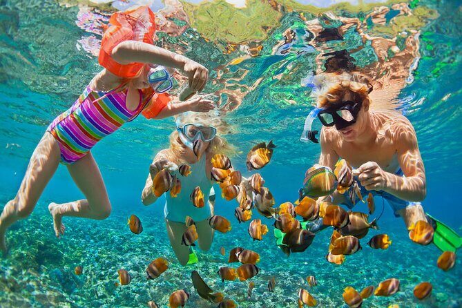 Hurghada Paradise Conquest Semi Submarine Snorkeling Trip - Key Points
