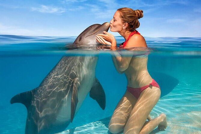Hurghada: Private 4 Hours Speedboat Dolphin House Snorkling Tour - Key Points