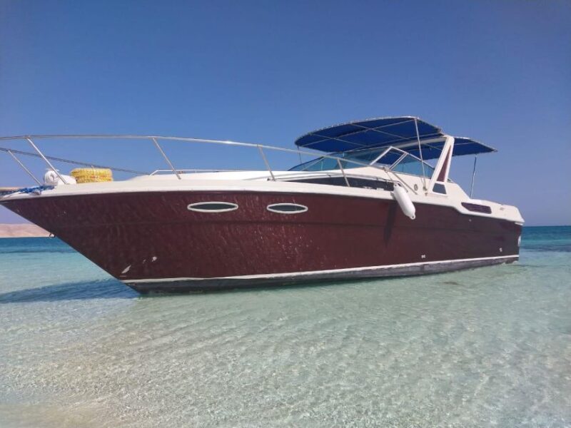 Hurghada: Private Luxury Speedboat W Snorkelling & Lunch box - Final Thoughts: Is It Worth It?