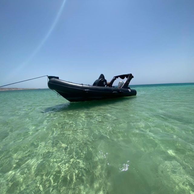 Hurghada: Private Speedboat to Dolphin House with Pickup - Key Points
