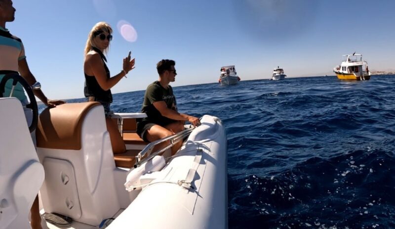 Hurghada: Private Speedboat to Dolphin House with Pickup - FAQ