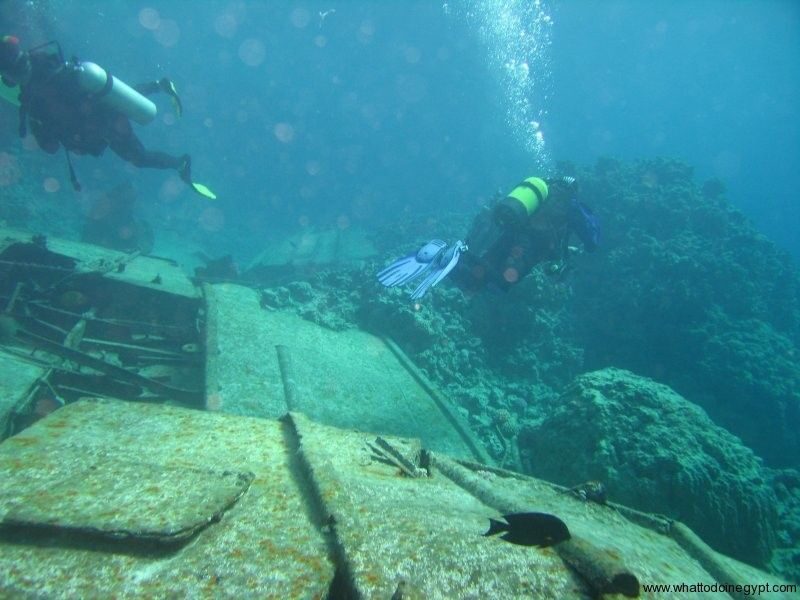 Hurghada, Professionals Diving in Open Water Tour with Lunch - A Full-Day Red Sea Adventure