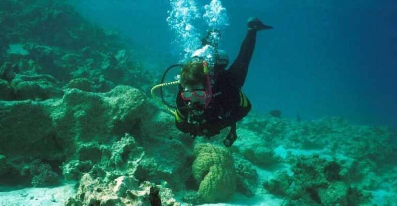 Hurghada, Professionals Diving in Open Water Tour with Lunch - The Sum Up