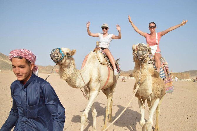 Hurghada Quad Bike Experience - Who Should Consider This Tour?