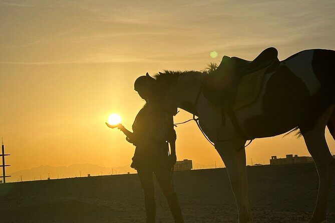 Hurghada: Red Sea & Desert Horse Riding Tour with Swimming - FAQ