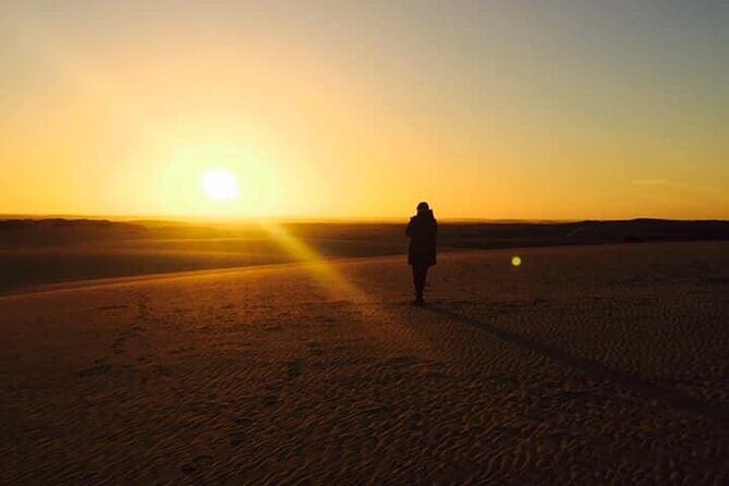Hurghada, Red Sea sunset desert safari trip by quad bike - Who This Tour Is Best For