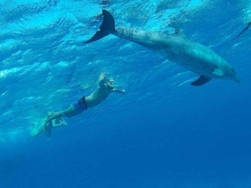 Hurghada: Royal Orange Bay w/ Massage, Water Sports & Lunch - Ready for your Red Sea adventure? Book the Hurghada Royal Orange Bay trip for a day full of smiles, sun, and stunning scenery. It might just be one of the most memorable parts of your Egyptian holiday.