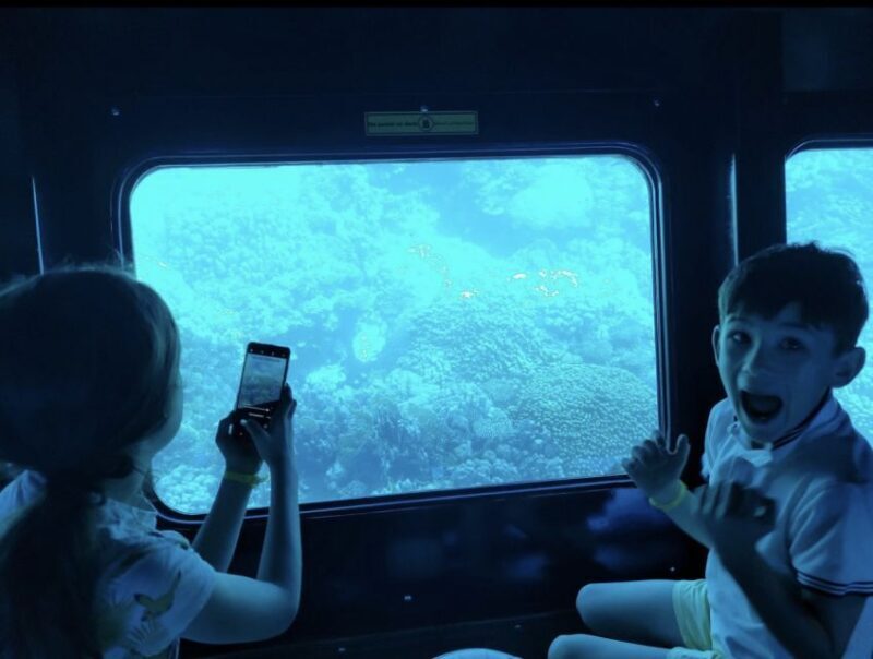 Hurghada: Royal Seascope Submarine Cruise with Snorkel Stop - Snorkeling Stop: A Close Encounter with Marine Wildlife