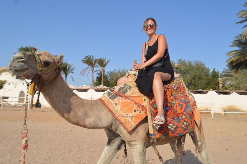 Hurghada: Safari 5*1 Quad, Stargazing, Horse ride w/ Dinner - FAQ