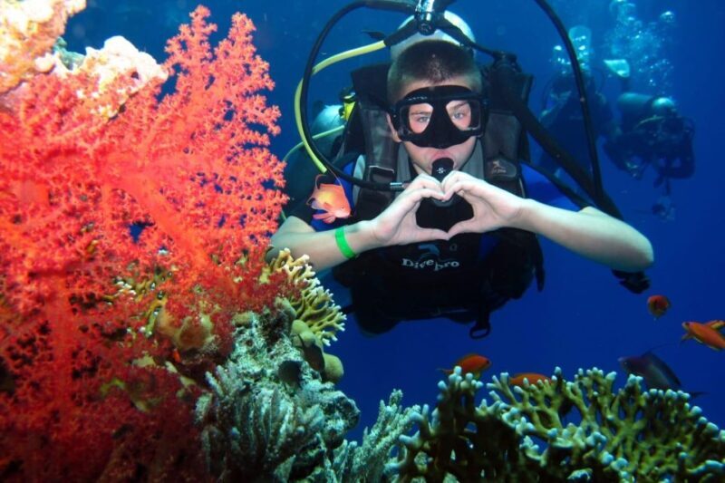 Hurghada: Scuba Diving cruise with lunch & pickup - Key Points